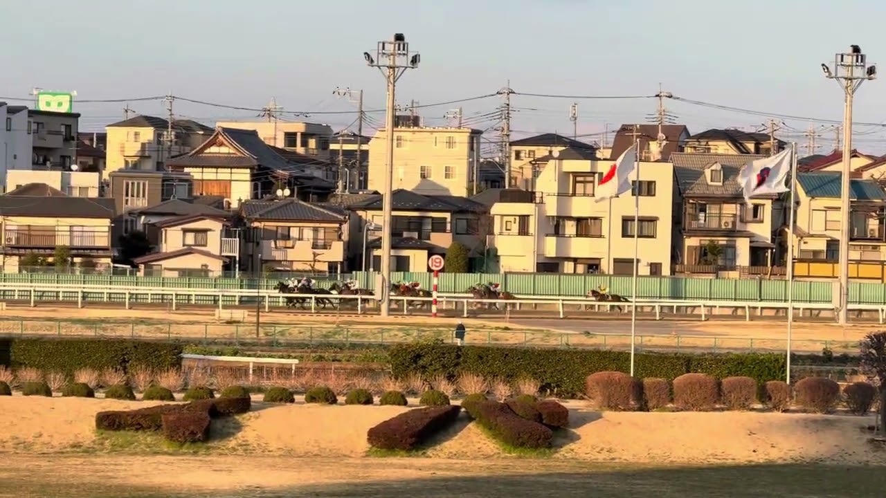 2025浦和競馬桜花賞