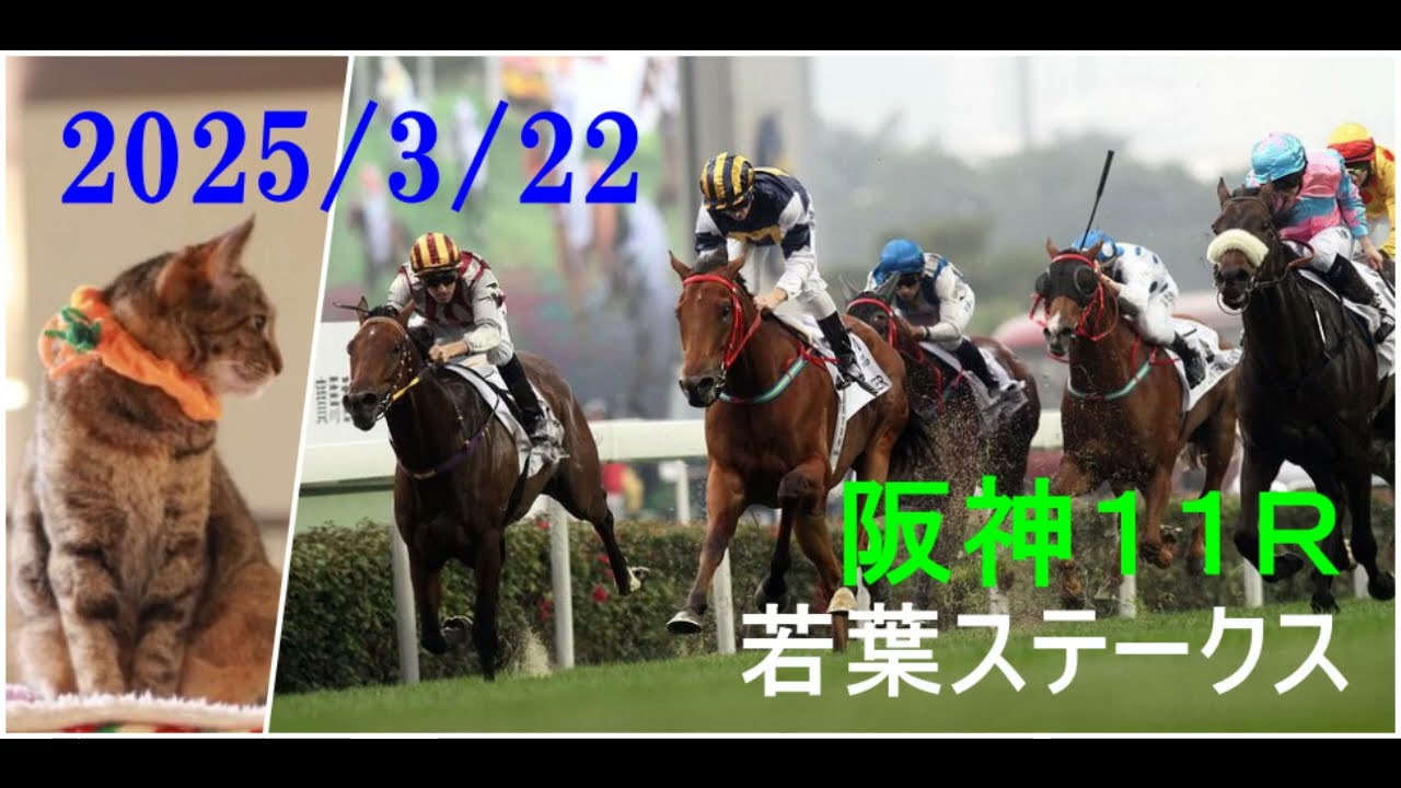 2025/3/22　阪神１１レース　若葉ステークス（皐月賞トライアル）枠順確定
