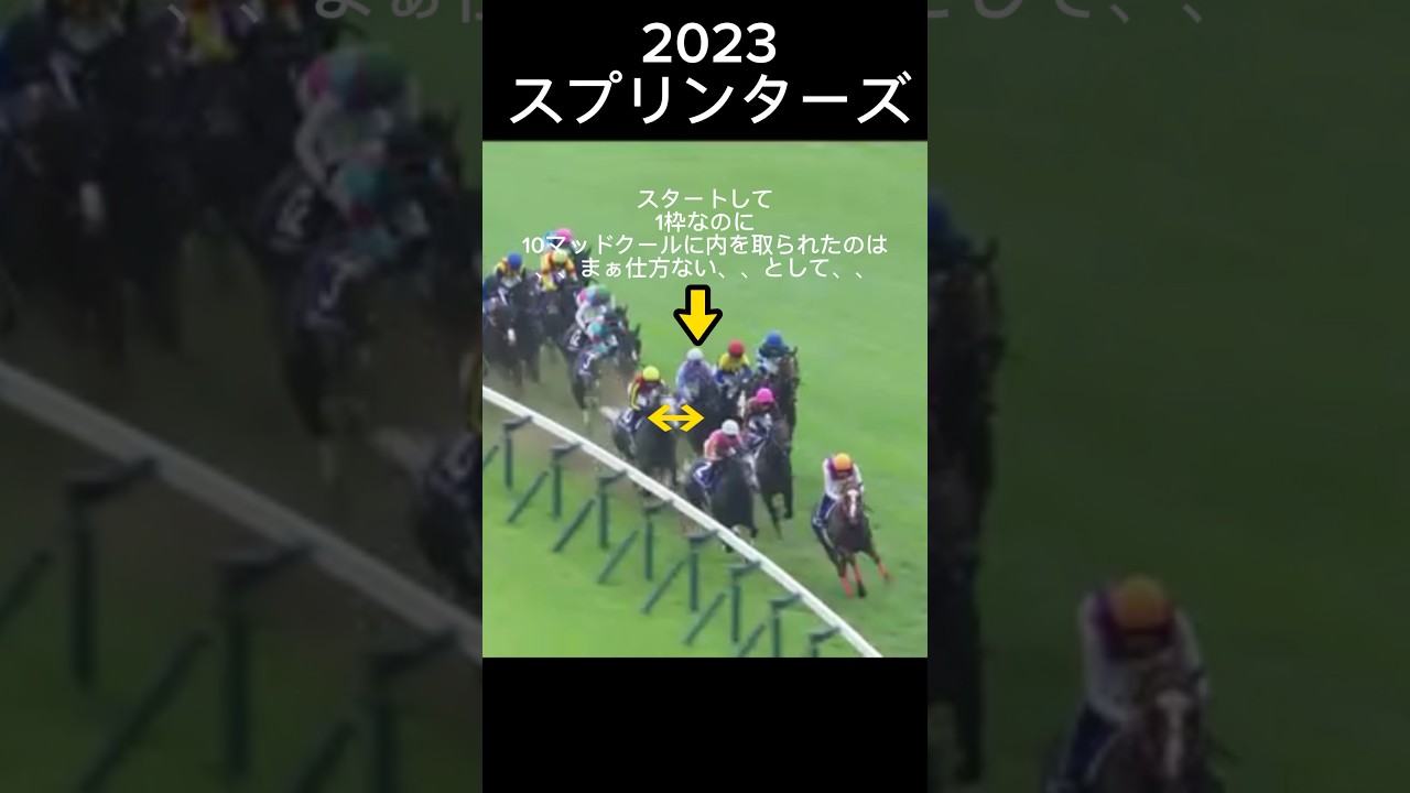 高松宮記念2024について思うことその1 #高松宮記念　#ナムラクレア