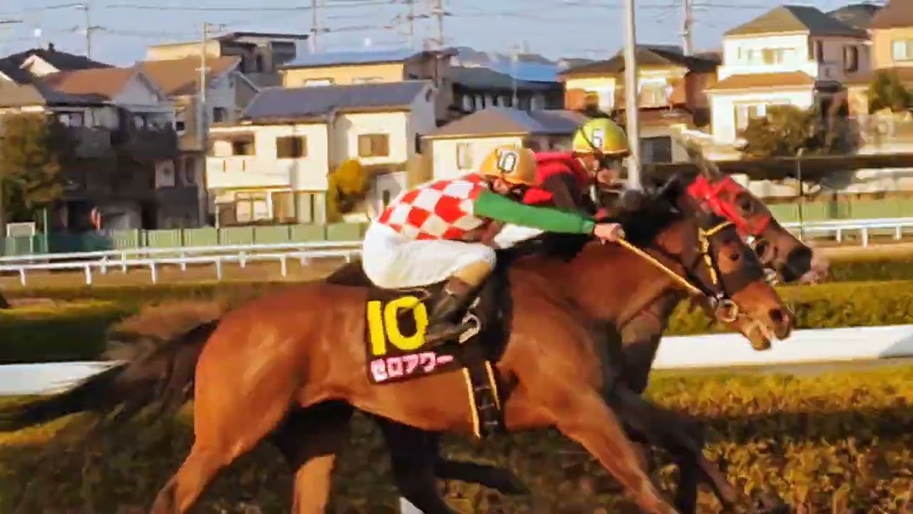 #浦和競馬場 🌸桜花賞🌸プラウドフレール号🐴🩷1500m逃げ重賞3連勝強い💪🏆💐㊗️　#張田昂 #第71回桜花賞　#s1 #プラウドフレール　🐴🩷　#おめでとう 🎉💐　#3連単 7-1-11#万馬券