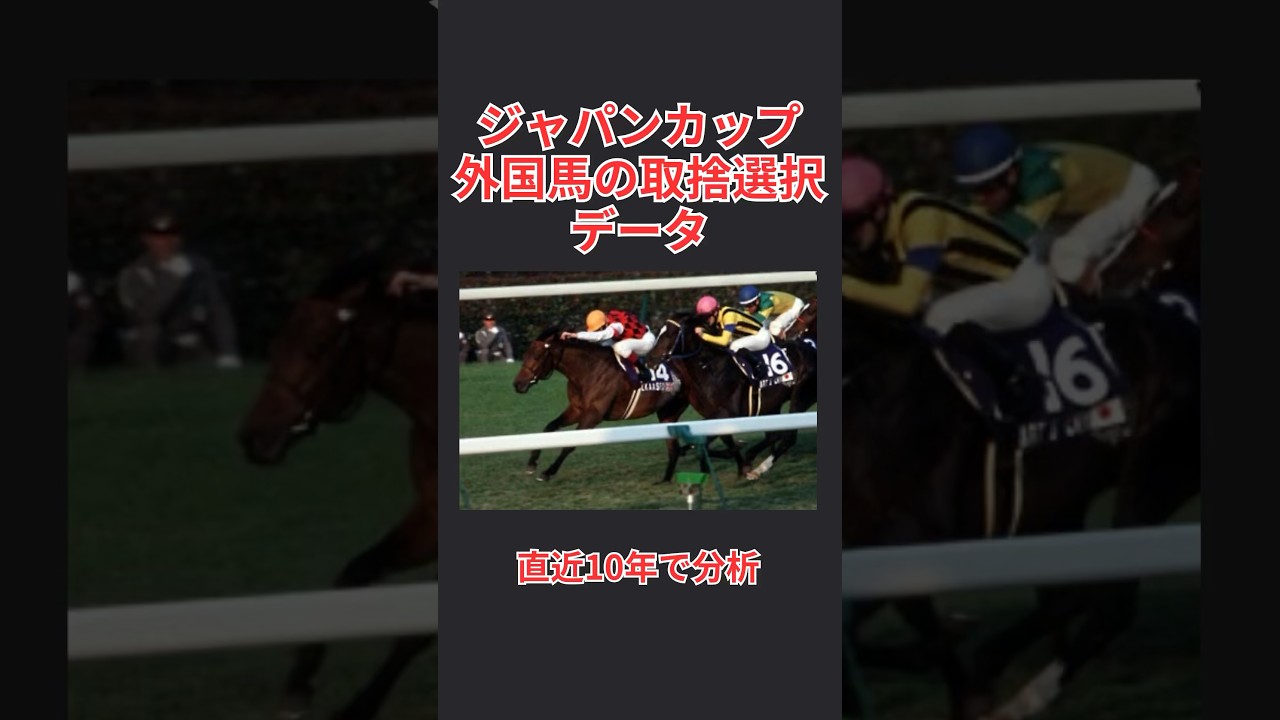 【馬券攻略】ジャパンカップ2024 外国馬の取捨選択  #ジャパンカップ   #ジャパンカップ2024 #競馬予想
