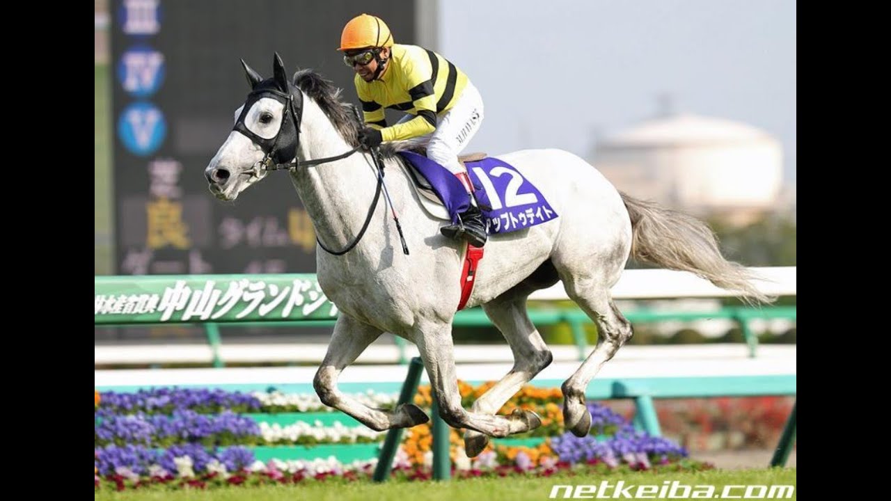 アップトゥデイト　2015年4月18日　中山グランドジャンプ　JG1　競走馬　JRA　芦毛　林満明騎手　クロフネ産駒