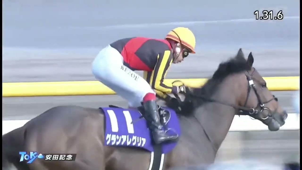 2020年 第70回 安田記念(G1)(グランアレグリア、池添 謙一)
