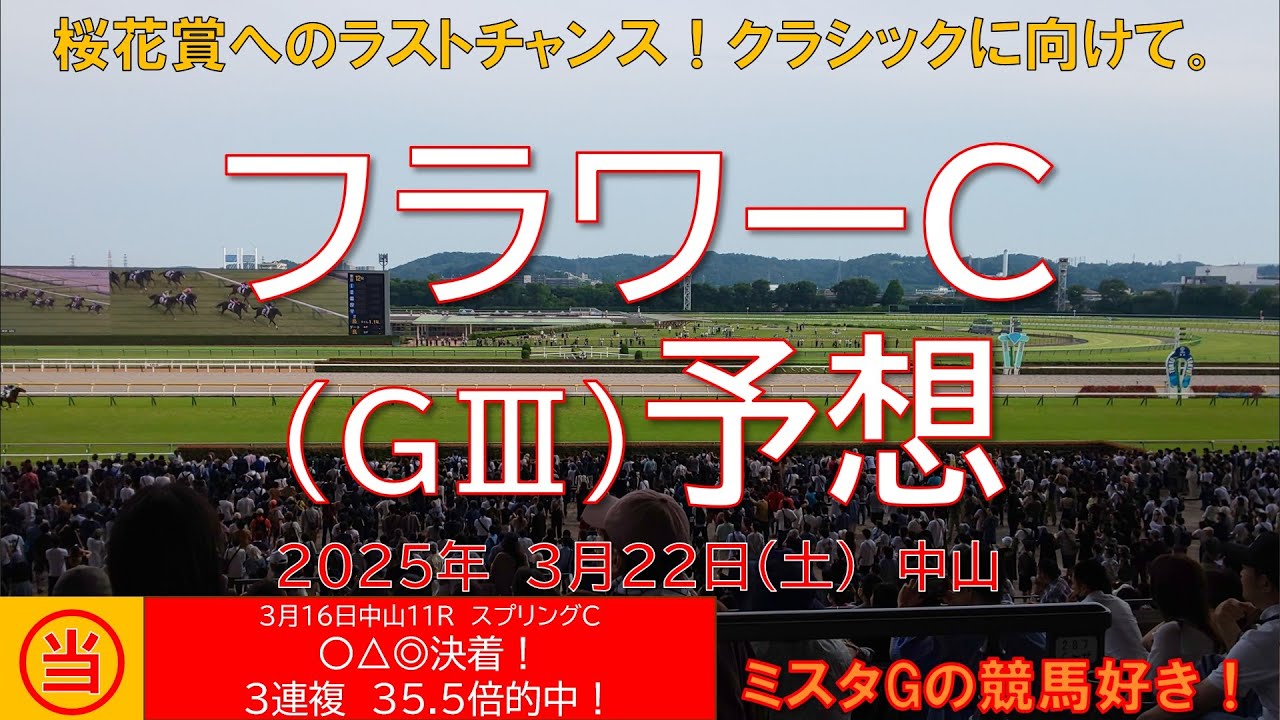 フラワーＣ　桜花賞へのラストチャンス！クラシックに向けても重要な一戦。＃フラワーC　＃パラディレーヌ　＃ミッキーマドンナ　＃ゴーソーファー　＃ジョスラン