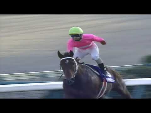 1994年　スプリンターズS　サクラバクシンオー