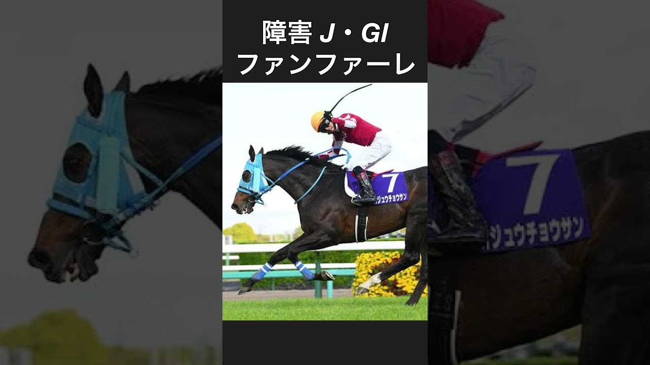 競馬 障害競走 JGIファンファーレ　#jra #競馬 #中山大障害 #中山GJ