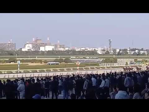 2025  若葉S(L)  ジョバンニ(松山弘平)