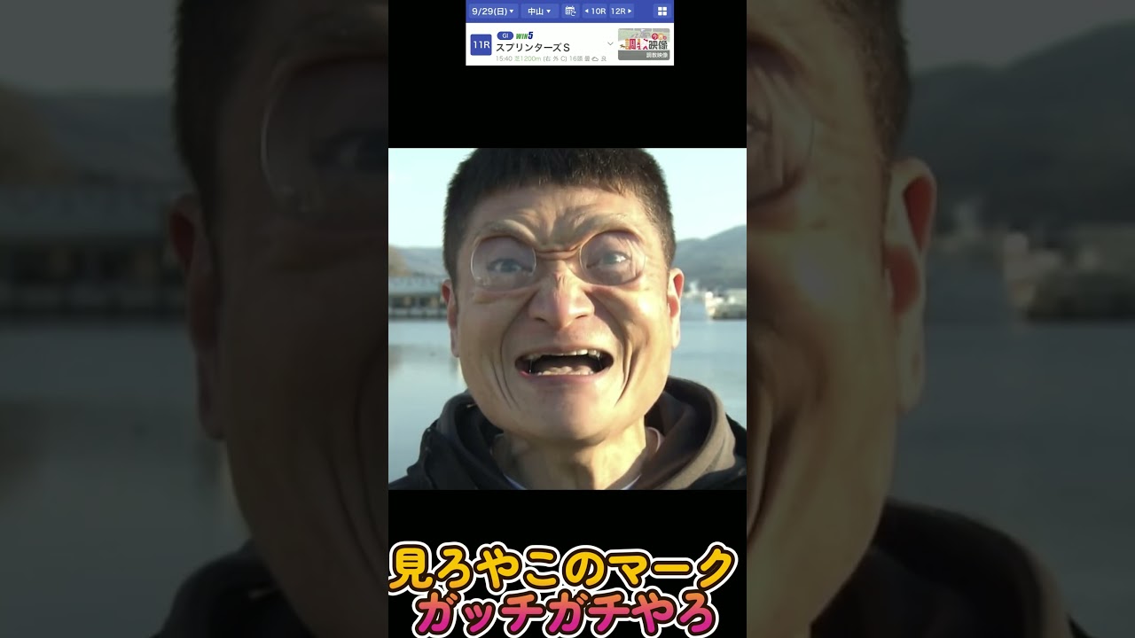 スプリンターズSはこれでOK  #shorts  #スプリンターズステークス