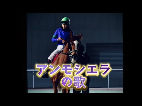 アンモシエラの歌