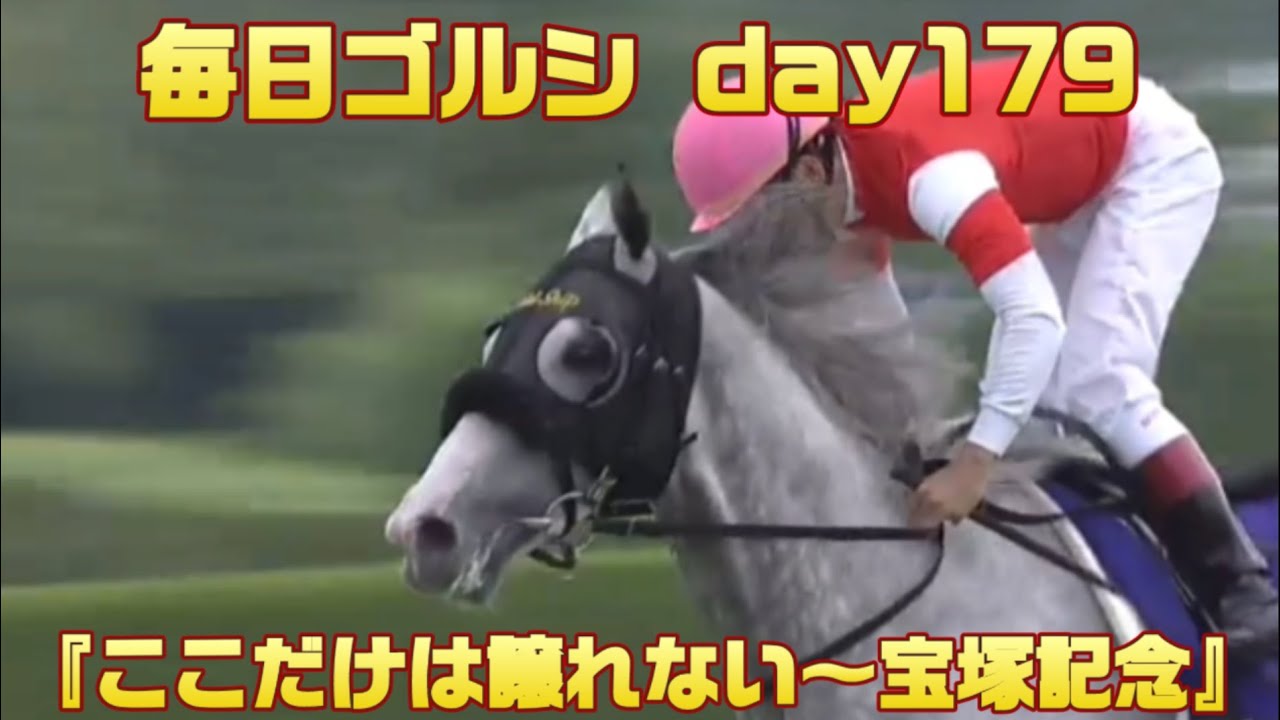 毎日ゴルシ『ここだけは譲れない〜宝塚記念』day179