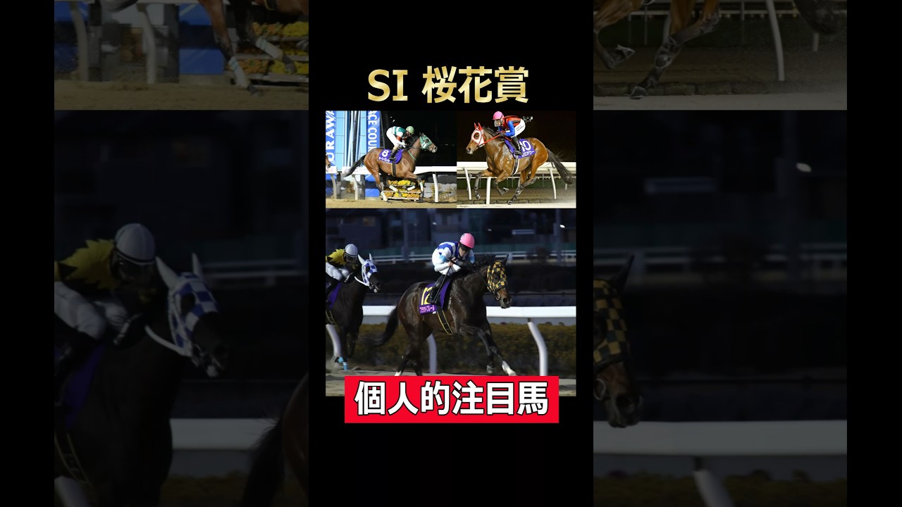 SⅠ桜花賞個人的注目馬！#浦和競馬 #プラウドフレール #ホーリーグレイル #ゼロアワー #ステッペンウルフ