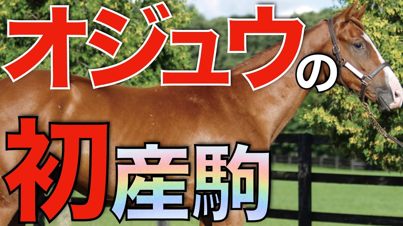 父の偉業を超える産駒は現れるのか？オジュウチョウサンの初年度産駒を深掘り。