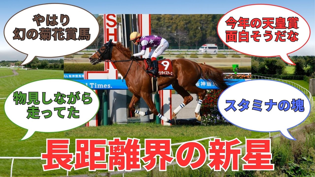 サンライズアース強すぎワロタ【競馬スレまとめ】