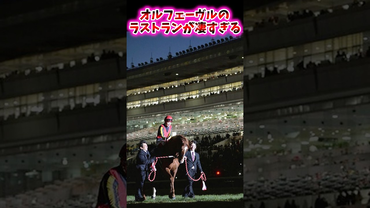 オルフェーヴルのラストランが凄すぎる【競馬反応集】 #オルフェーヴル #有馬記念
