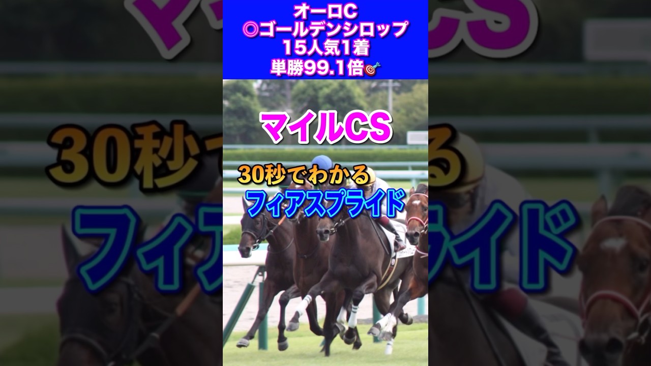 【マイルチャンピオンシップ2024】30秒でわかるフィアスプライド
