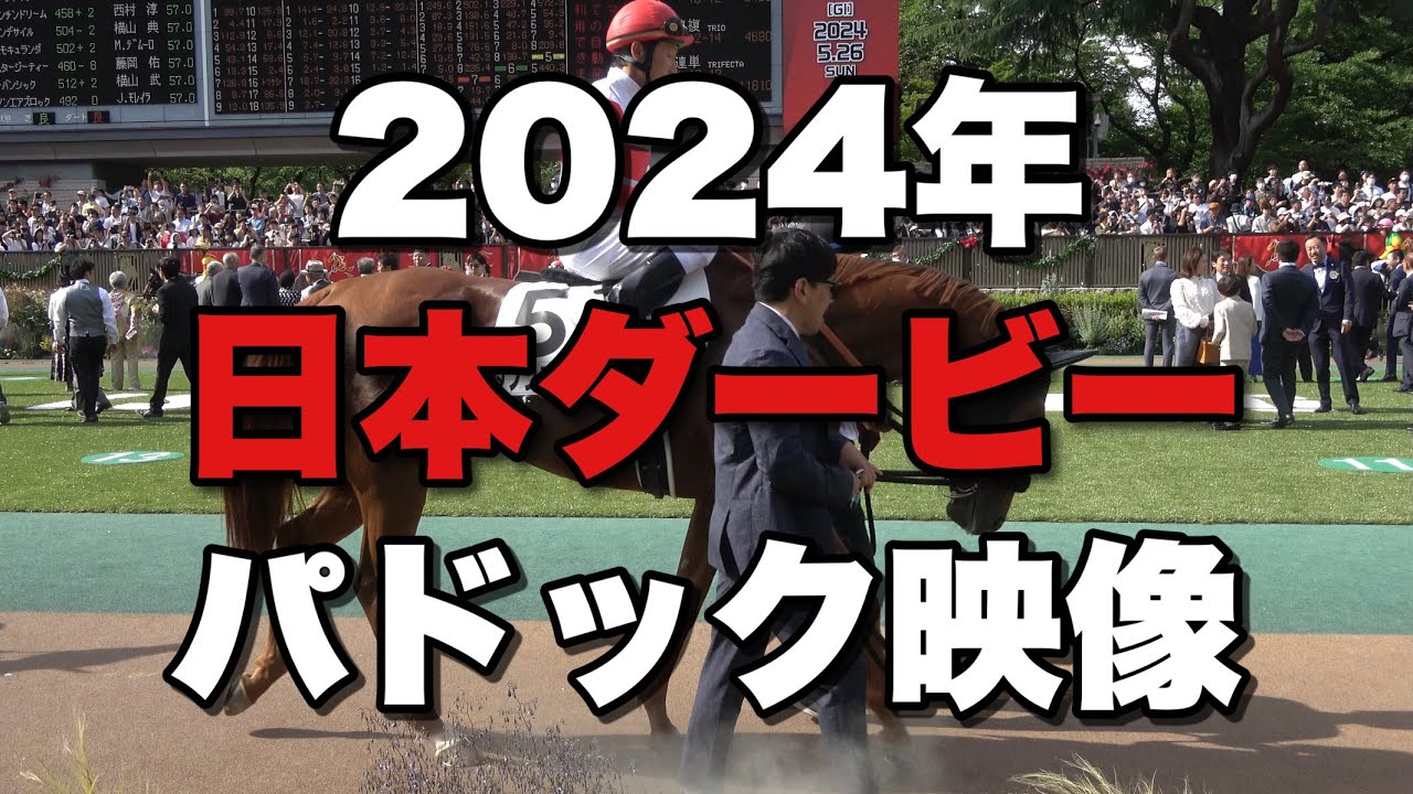 【4K動画】2024年日本ダービー(東京優駿)パドック【ダノンデサイル】