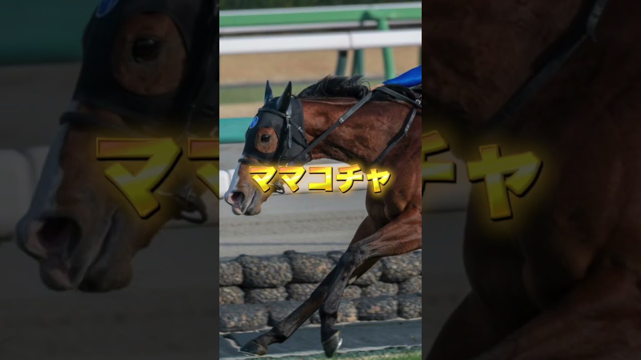 G1高松宮記念の注目馬を3頭紹介＃競馬＃競馬予想＃ナムラクレア＃サトノレーヴ＃ママコチャ