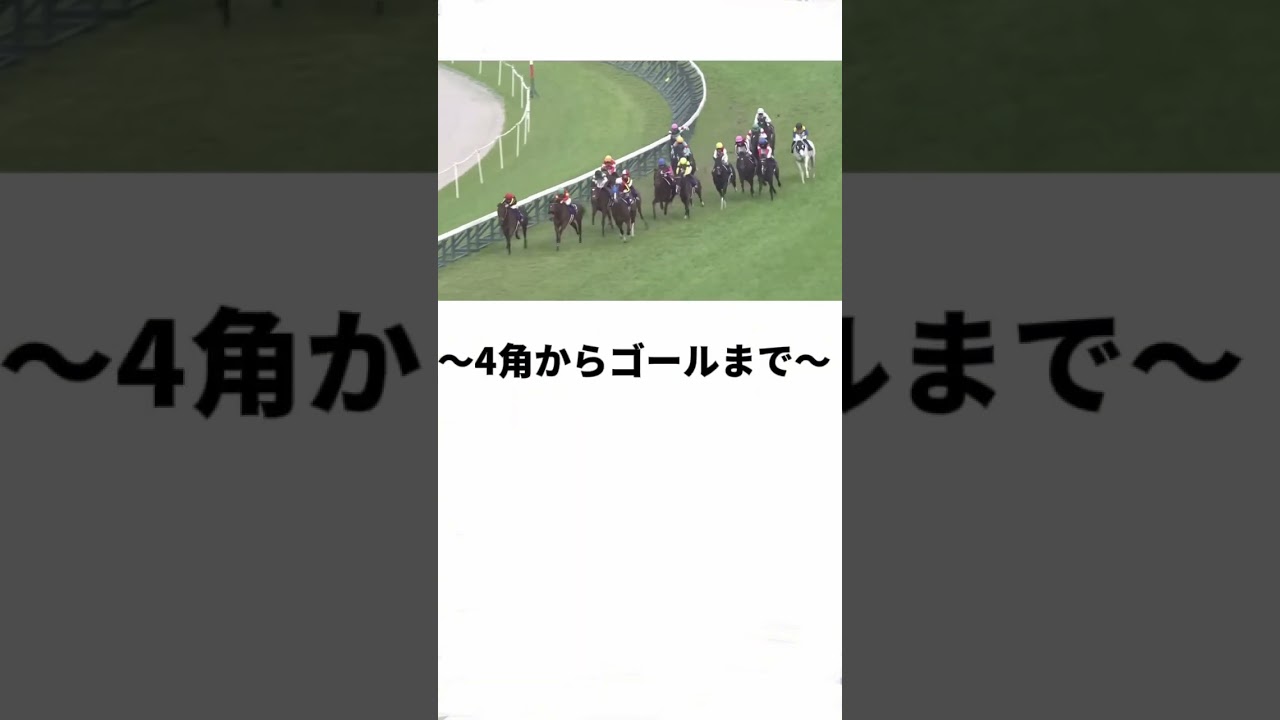 競馬民必見！大阪杯コース解説[阪神2000m]#大阪杯2025 #競馬 #阪神競馬場