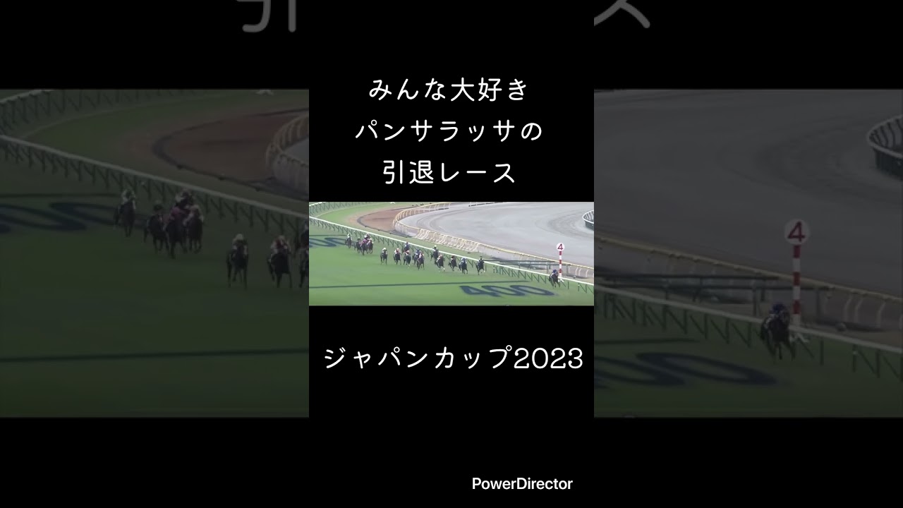 パンサラッサの引退レース〜夢と感動をありがとう〜　ジャパンカップ2023