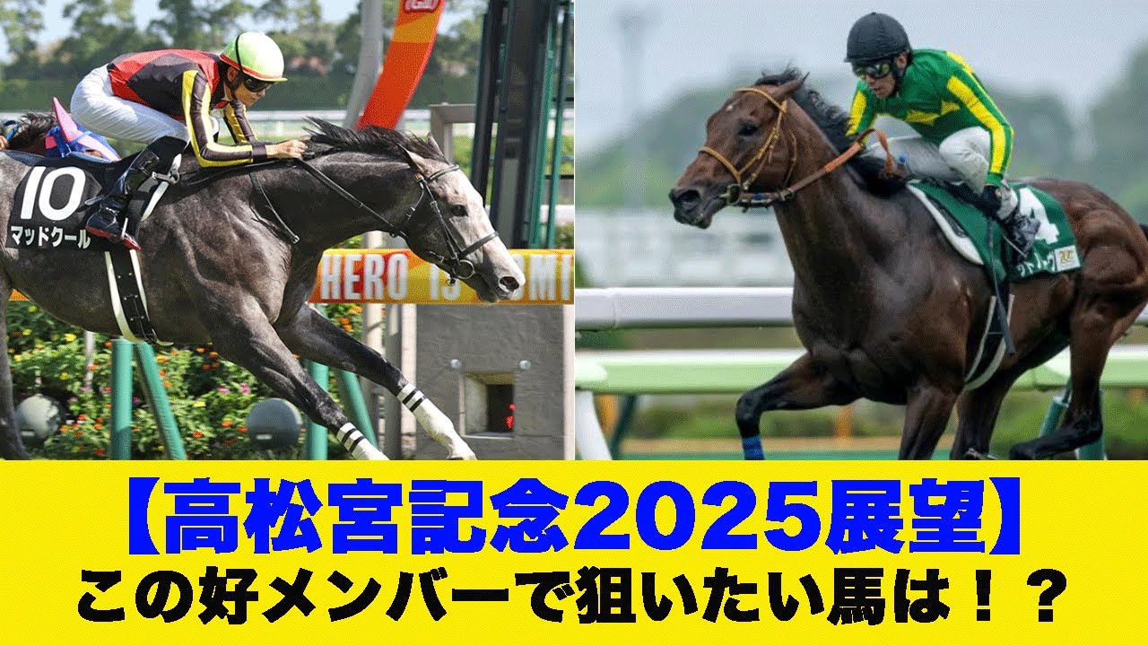【高松宮記念2025】「今回のメンツならどれ狙う？」に対する反応【競馬】【反応集】#競馬 #競馬予想 #高松宮記念2025 #高松宮記念