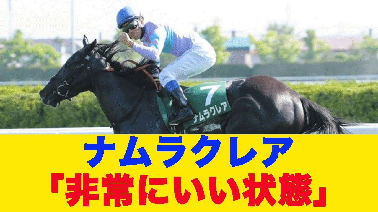 【高松宮記念2025】ナムラクレア長谷川調教師「非常にいい状態」に対する反応【競馬】【反応集】#競馬 #競馬予想 #高松宮記念2025 #高松宮記念