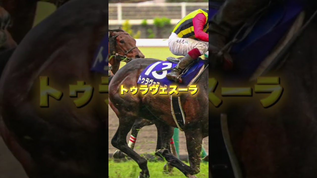 G1高松宮記念の穴馬を3頭紹介＃競馬＃競馬予想＃トウシンマカオ＃トゥラヴェスーラ＃オフトレイル