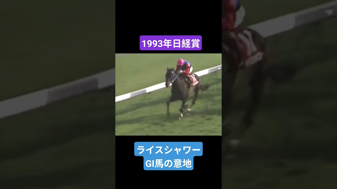 【1993年日経賞】天皇賞春に向けてここでは負けられないライスシャワー #競馬 #ライスシャワー#日経賞#shorts