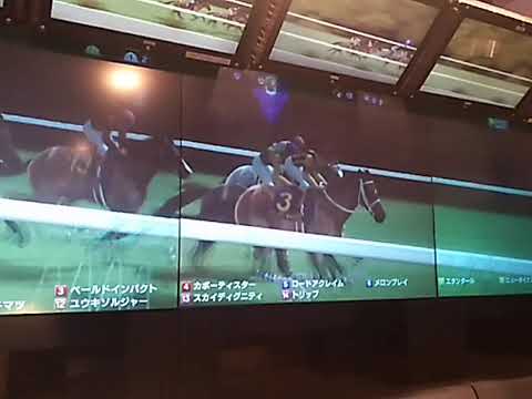 5メロンプレイ 菊花賞