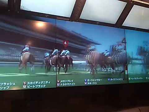 7メロンプレイ 有馬記念