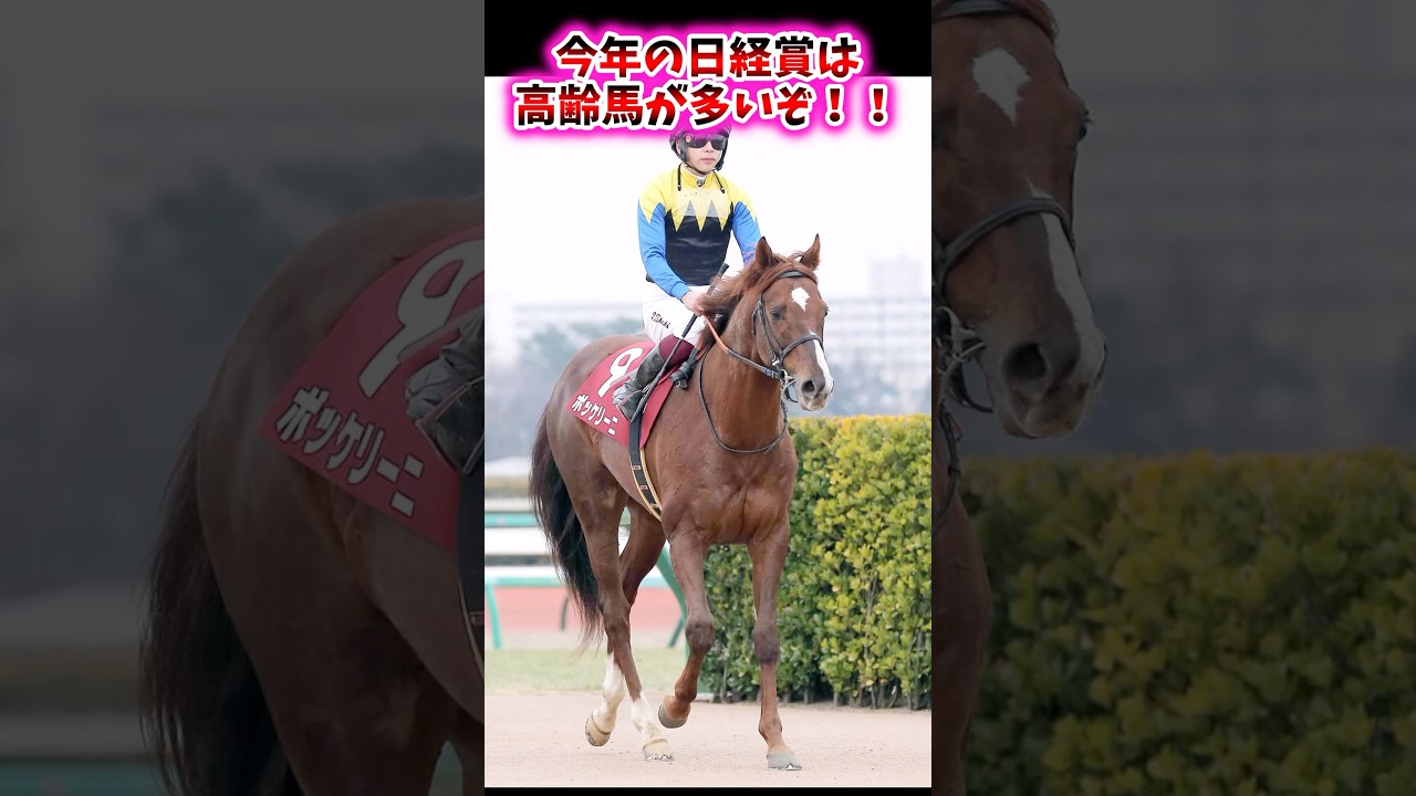 今年の日経賞は高齢馬が多いぞ！！【競馬反応集】 #日経賞