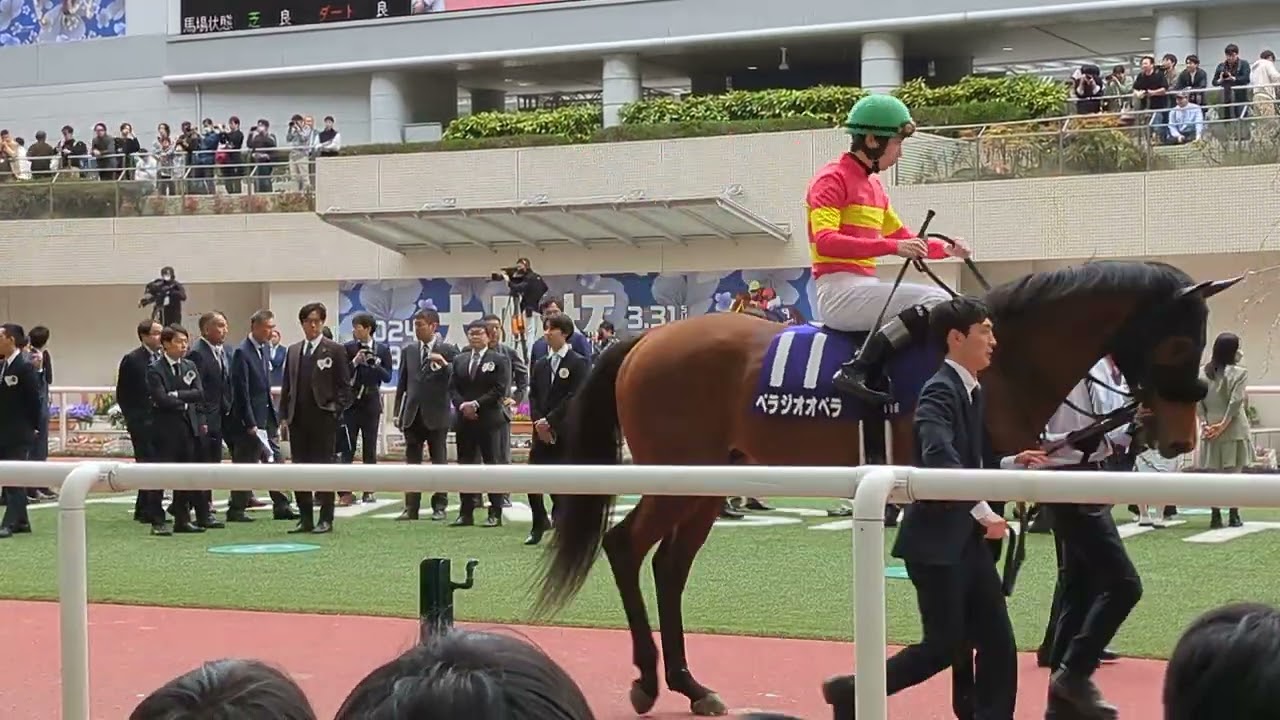 2024/3/31 大阪杯(GI)パドック