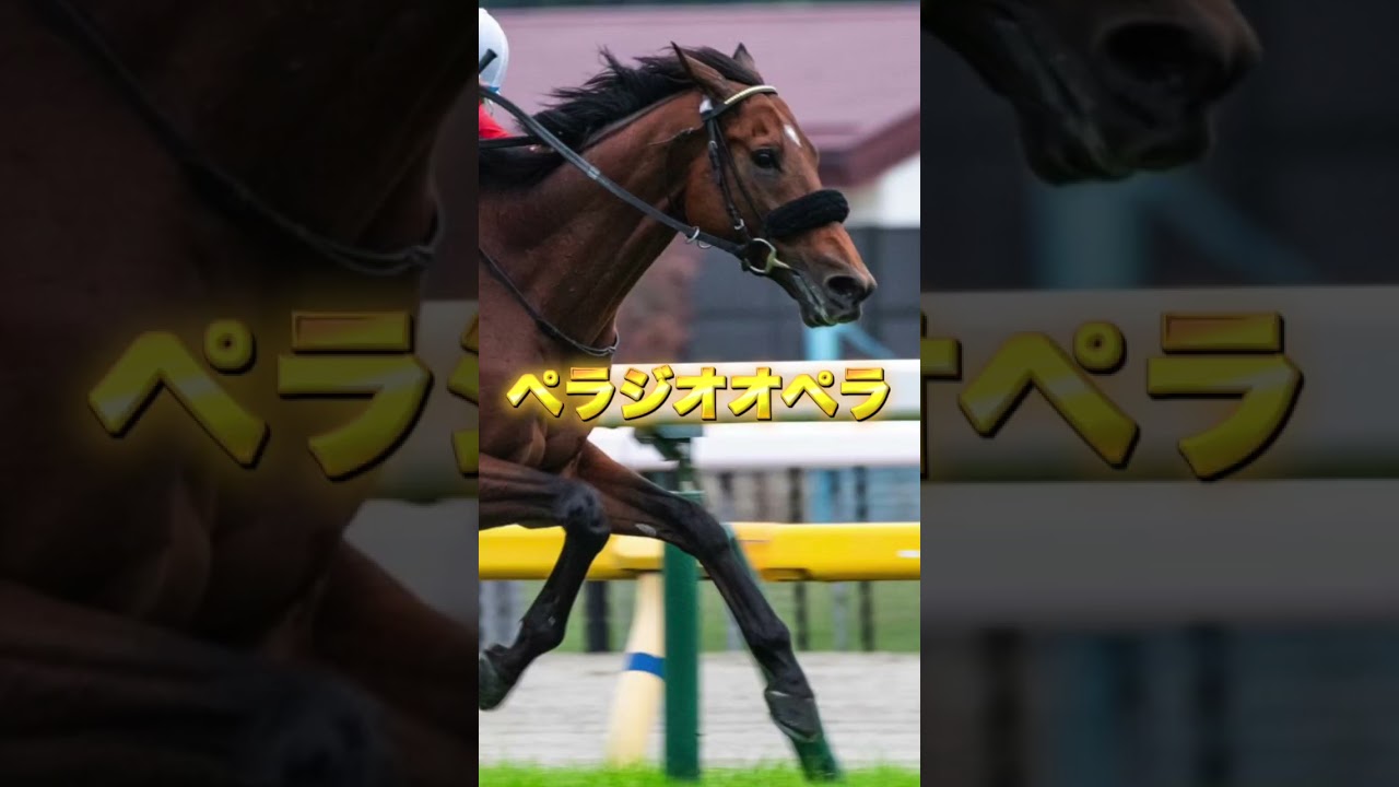 G1大阪杯の注目馬を紹介＃競馬＃競馬予想＃シックスペンス＃ステレンボッシュ＃ベラジオオペラ