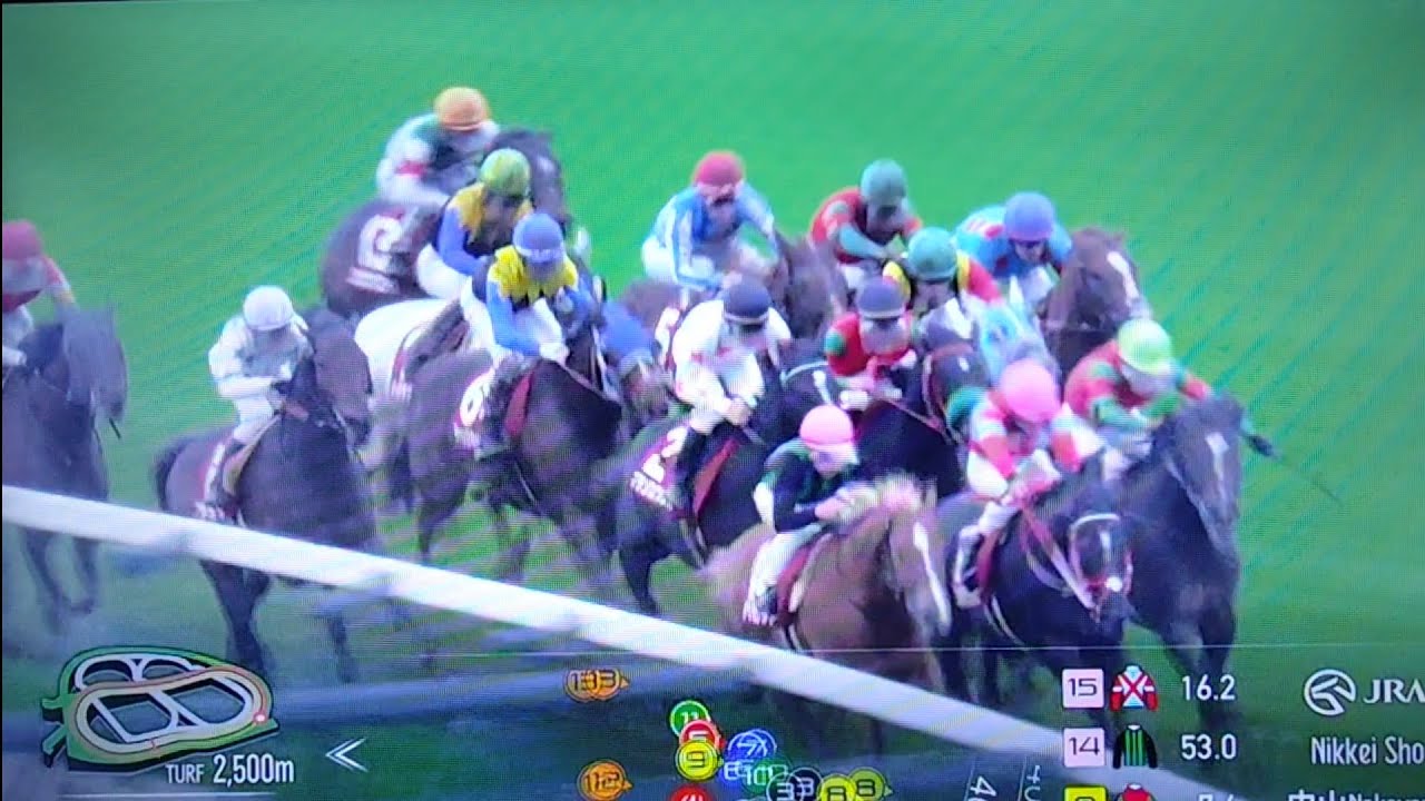 2025 第73回日経賞(G2)【菊花賞馬アーバンシック今年初戦】