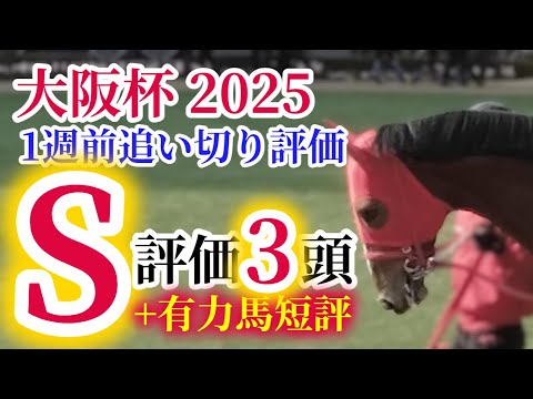 【大阪杯2025】自己ベストの猛時計を計時した調教好調馬が『最強』を証明する一戦！【1週前追い切り評価+有力馬短評！！】