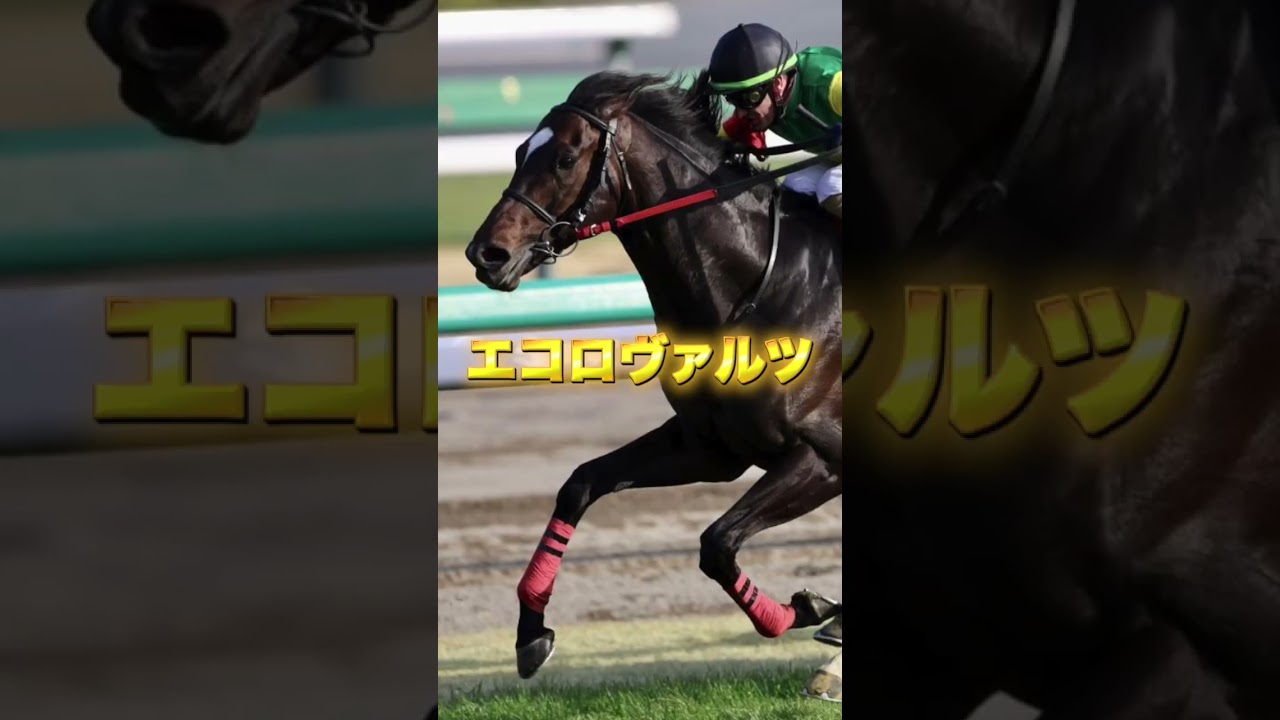 G1大阪杯の穴馬を3頭紹介＃競馬＃競馬予想＃ヨーホーレイク＃コスモキュランダ＃エコロヴァルツ