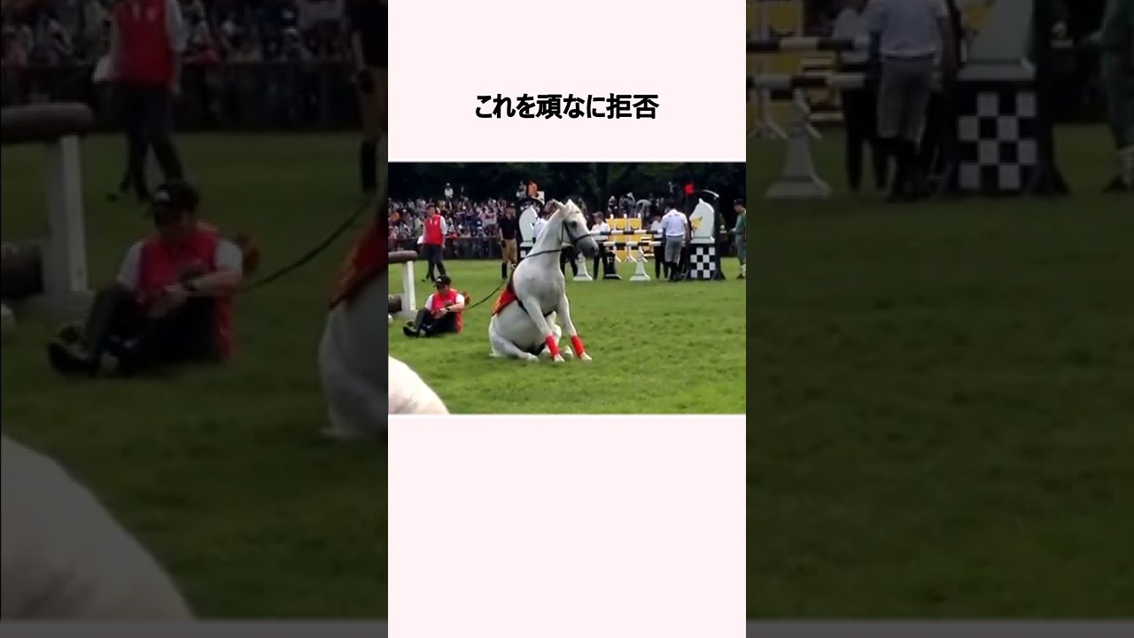 【雑学】競馬界の宝。ゴールドシップ伝説③#shorts