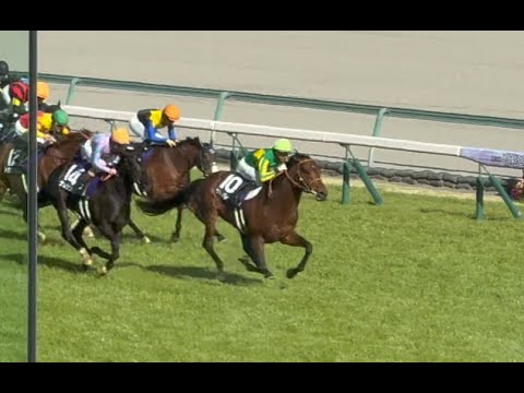 【競馬現地映像】◎サトノレーヴ、6歳にして才能開花‼️モレイラの神騎乗で高松宮記念を電撃制覇！遅咲きの素質馬が紡いだ春の奇跡、スプリント界に新たな英雄が誕生！2025.3.30【高松宮記念】