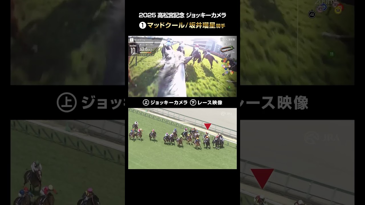 【ジョッキーカメラ×レース映像】2025年高松宮記念 マッドクール 坂井瑠星騎手 #shorts ｜JRA公式