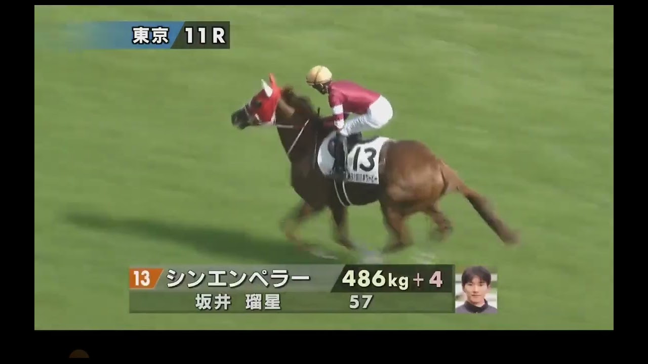 【2024】東京11R 日本ダービー《G1》本馬場入場【グレード・エクウス・マーチ】