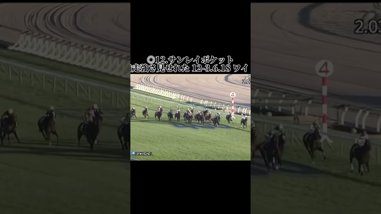 2021年のジャパンカップの結果です。いざラスト素晴らしく #競馬 #競馬結果 #中央競馬 #中央競馬予想 #東京競馬予想 #東京競馬 #東京競馬場 #ジャパンc #ジャパンカップ