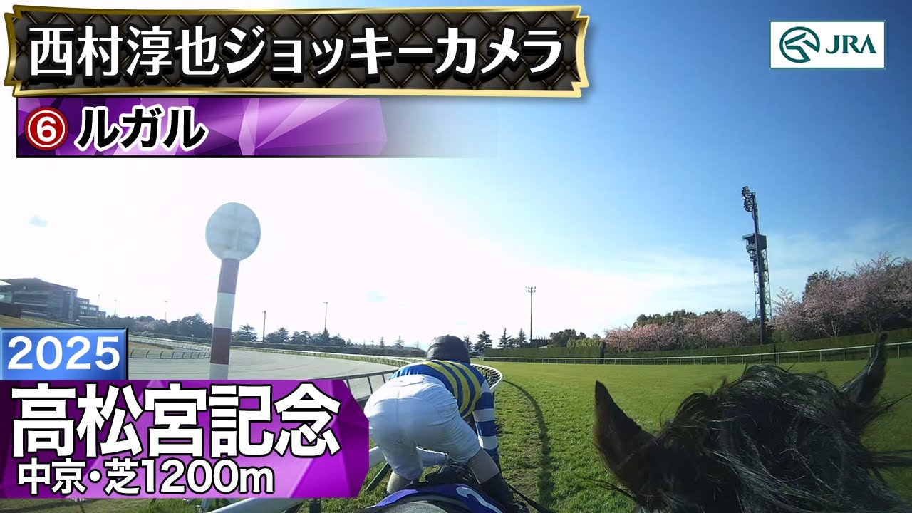 【ジョッキーカメラ】ルガル騎乗の西村淳也騎手ジョッキーカメラ映像｜2025年高松宮記念｜JRA公式