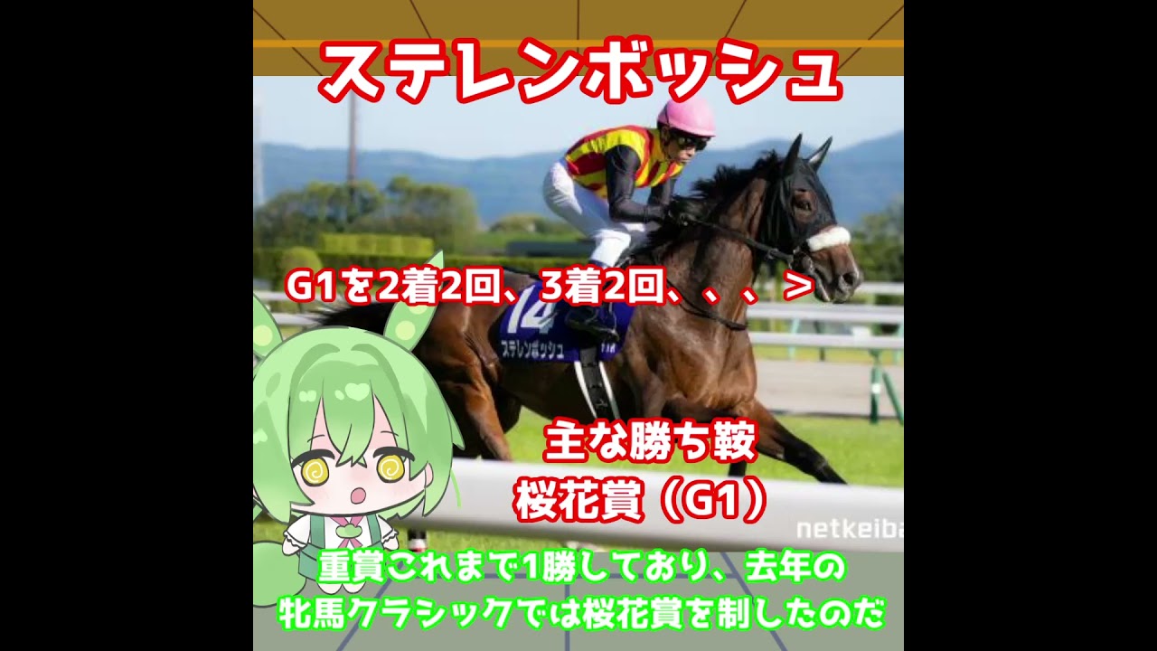【大阪杯出走馬紹介】ステレンボッシュ　昨年のクラシックも制した牝馬が混合G1でも輝く！【大阪杯2025】#競馬 #shorts #大阪杯 #ステレンボッシュ