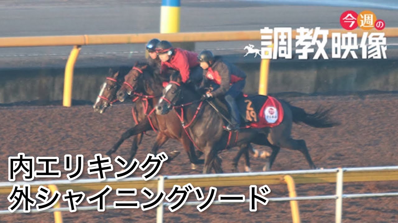【F馬調教】 エリキング 皐月賞 2週間前追い切り(外シャイニングソード)