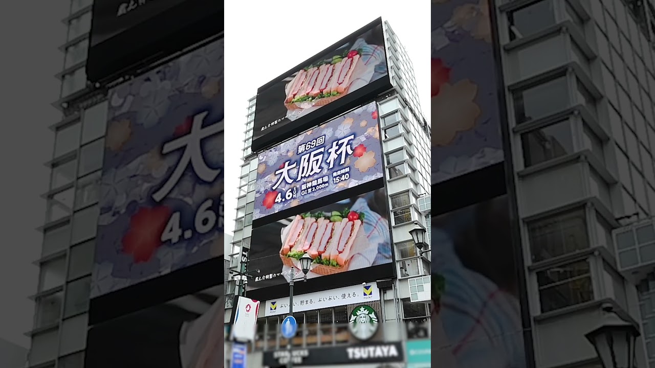 第69回大阪杯の広告を放映中！4/6に阪神競馬場で開催されます、春の中距離の最強馬決定戦です 今年は竹内涼真さんがCMキャラクターに加わりました🤗どんなCMが展開されるか楽しみですね😆