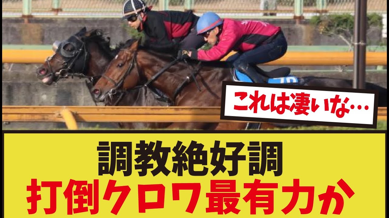 「エリキングの調教が凄すぎる」に対するみんなの反応集