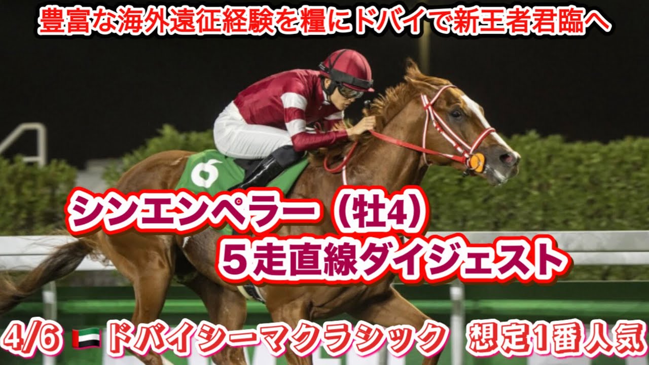 【シンエンペラー】海外GI🇦🇪ドバイシーマクラシック想定1番人気！5走直線ダイジェスト