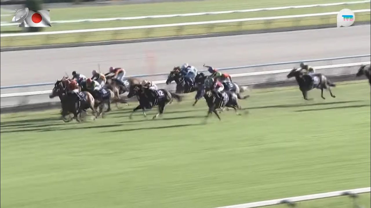 日本秋華賞 Shuka Sho 一級賽 G1 2000m 2024-10-13 雪嶺熱點 Cervinia 京都競馬場 Kyoto Racecourse