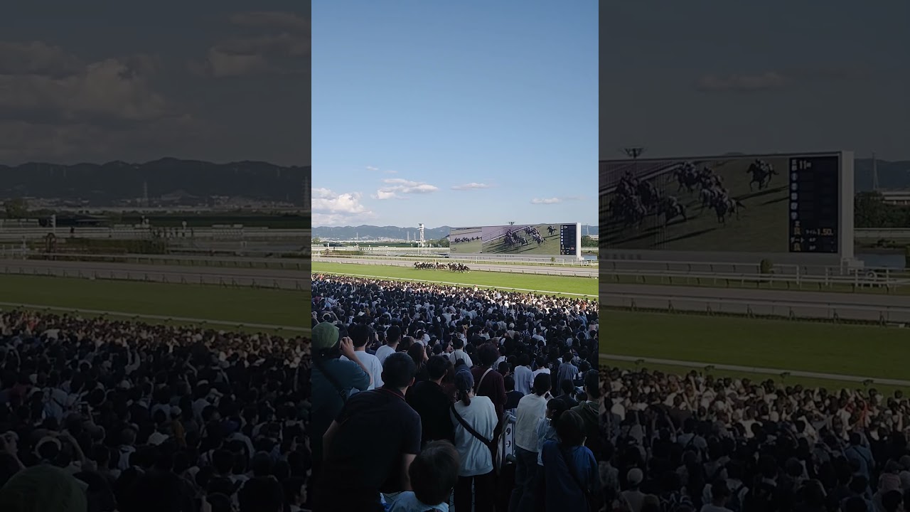 2024/10/13 京都競馬11R 秋華賞最後の直線 #現地観戦 #京都競馬 #秋華賞 #チェルヴィニア #ルメール