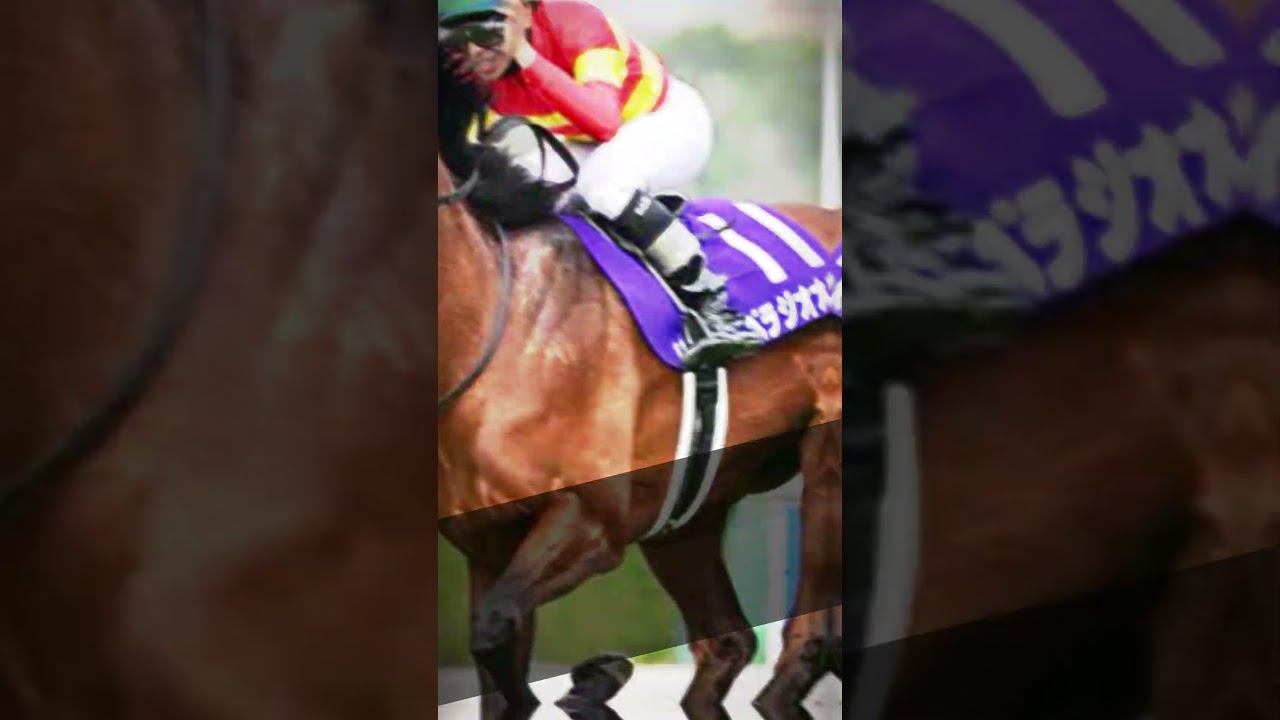 [大阪杯]現状人気馬紹介。みんなの本命教えて！！#大阪杯 #g1