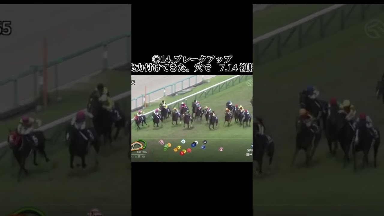 2023年の宝塚記念の結果です。世界No. 1だ #競馬 #競馬結果 #競馬予想 #中央競馬 #中央競馬予想 #阪神競馬予想 #阪神競馬場 #阪神競馬 #宝塚記念